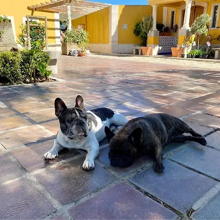 ファームステイ Charm Azenha Dobidos Farm *