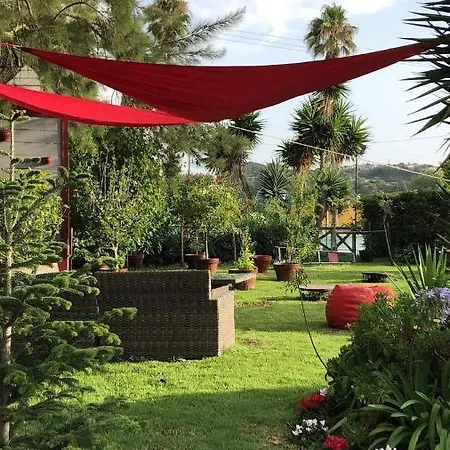 Charm Azenha Dobidos Farm ファームステイ