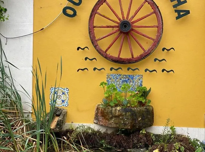 Charm Azenha Dobidos Farm Gospodarstwo agroturystyczne *